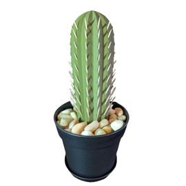 YILCER Toothpick Holder-Cactus Toothpick Dispenser,3D Printed Cactus Shaped Toothpicks Container Holders,Decorative Multifunctional Cactus Succulents Home Decor for Living Room (Light Green)