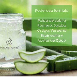 PocketCare Shampoo para pelo orgánico, artesanal de pulpa de sábila en alta concentración, romero y nutrientes naturales, regenerador de cabello, Prevención caída del cabello e Hidratación 325 ml (Kit Shampoo + Refill, Aloe Vera)