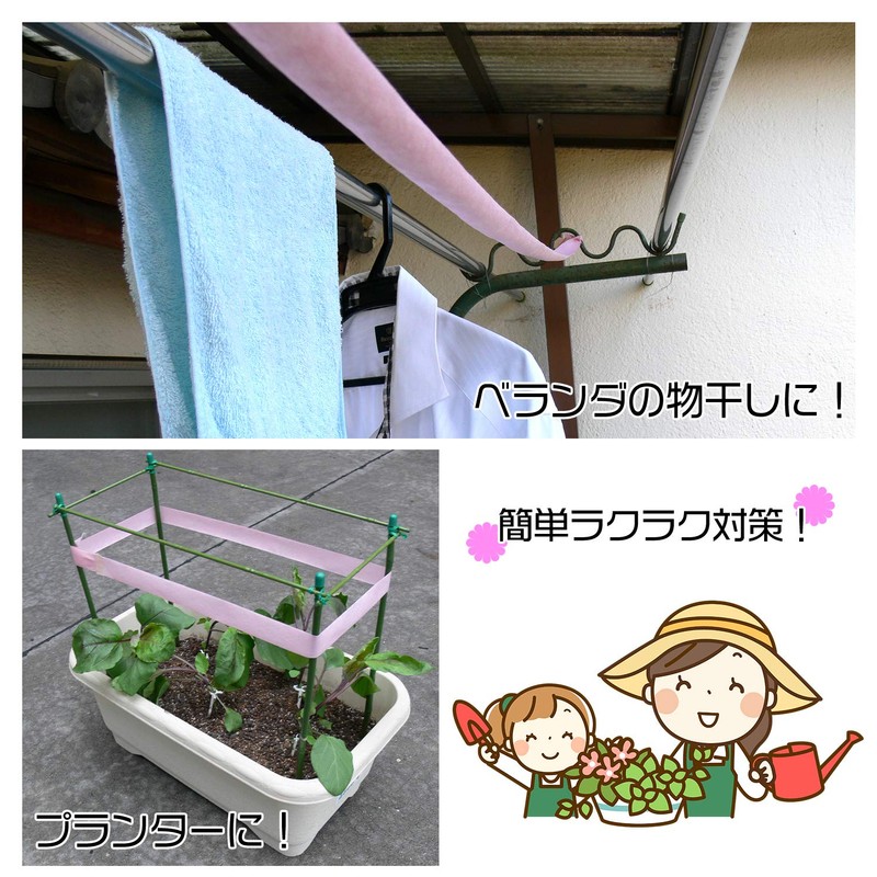 Home Chemical Rye Grass No. Tape 30 mm X 10