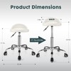 FNZIR Swivel Rolling Stool with Wheels Height Adjustable Stool Chair