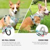 Timos No Pull Dog Harness, Release at Neck Reflective 3