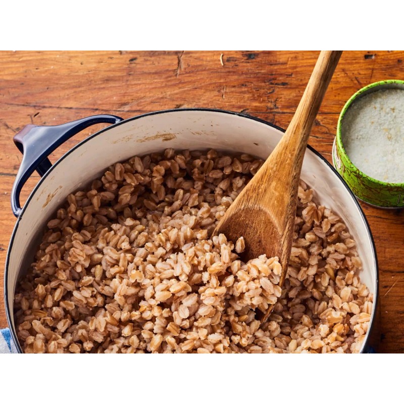 Organic Emmer Farro Seeds (200) / ANCIENT WHEAT / GRAIN