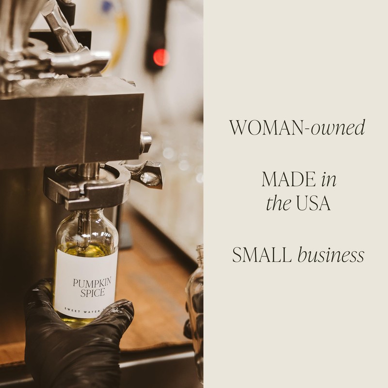 Sweet Water Decor Salt and Sea Reed Diffuser Set -