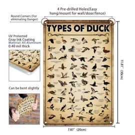 Type Of Duck Tin Sign Vintage Knowledge Duck Hunting Decorations For Home Kitchen Duck Wall Art 8 x 12 In (2512)
