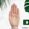 Peppermint Oil Capsules 200mg | 365 Softgel Capsules | Digestion