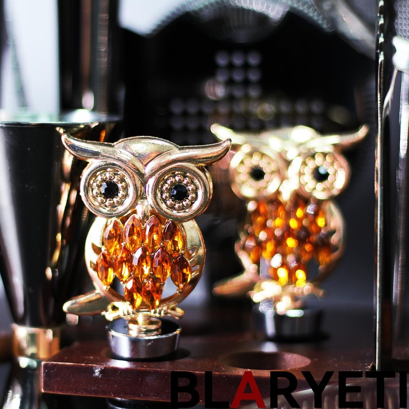BLARYETI Owl Wine Stopper Bottle Sealer Bottle Plug for Wine