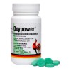Alimento Oxypower & Vitaminas B12 & 50 Tabletas