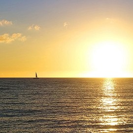 Hakodate Kichodo, 100% Pure Kombu, Additive-Free Fine Powder, 3.5 oz (100 g) x 1 Piece