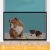Outdoor Dog Safety Gate, Dog Barriers, Baby Stair Safety Gate,