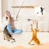 ORSDA Cat Toys, Cat Feather Toy for Indoor Cats, Replacement