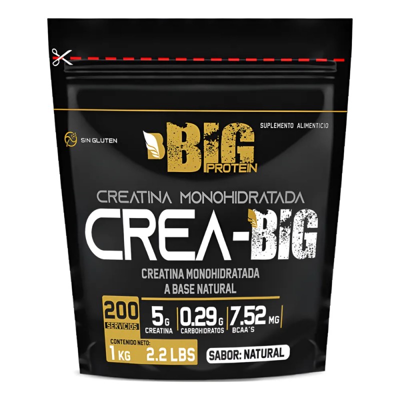 Creatina Monohidratada Big Protein 1kg Bolsa 200 Servicios