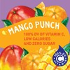 Tampico Singles To Go Drink Mix Packets, Mango Punch, Zero
