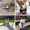 Soft Mesh No Pull Cat Harness and Lead Set for
