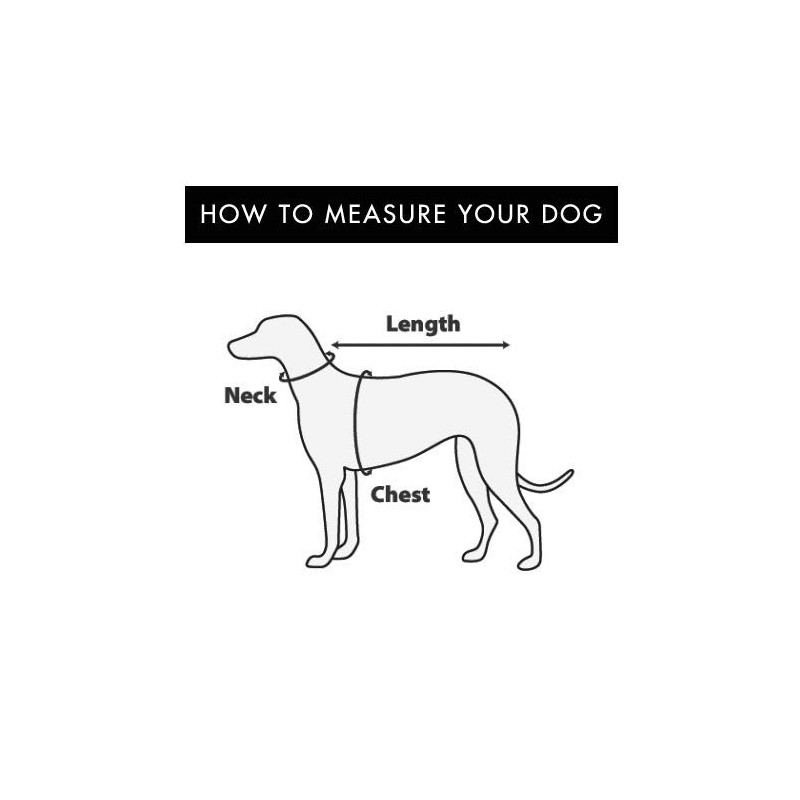 Bark Appeal Mesh Wrap N Go Harness - Aqua Blue,