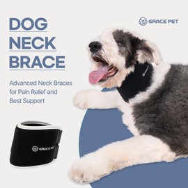 GRACE PET Premium Dog Neck Brace, Comfort, Support, Fast Recovery, Supports Pet's Necks with Intervertebral Disk Disease (IVDD), Support Cervical Sprain Instability, Adjustable Neck Brace (X-Large)