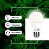 Bioluz LED Full Spectrum Grow Light Bulbs for Indoor Plants,