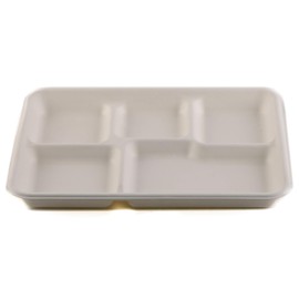 5-Compartment Sugarcane Fiber Disposable Tray - 100% Compostable American Tray, Serving Tray, Cafeteria Tray, Biodegradable, EcoFriendly, Tree Free by EcoQuality (10x8.3x0.9 inch) (100)