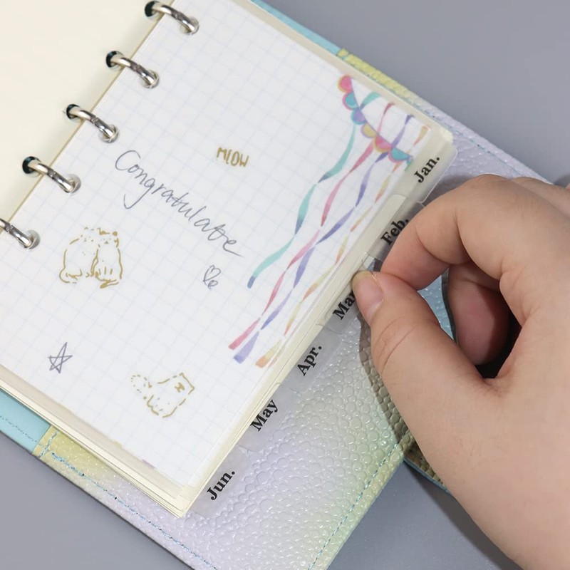 2 Pack A7 Binder Dividers 6 Tabs Clear Plastic Binder
