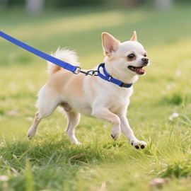 Erbine Neoprene Padded Martingale Collar for Dogs, Reflective Soft Nylon with Quick Release Buckle, Adjustable Dog Martingale Collars for Training & Daily Use (Royal Blue,XS)