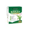 FITGUM Organic Barley Super Green Powder 15 Sachets – with