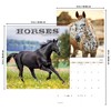 2025 Horses Wall Calendar