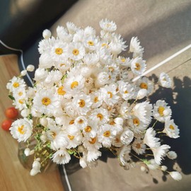 Jtoder Dried Daisy Flowers Bouquet, 200+ Real Dry White Flowers with Stems, 17'' Gerber Daisies Arrangements for Wedding, Farmhouse Vase Decorations, DIY Home Party Wildflower Decor