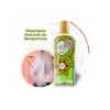 Shampoo Huichol Bergamota Té Verde, Crecimiento 250 Ml