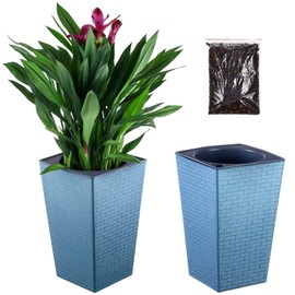 2 Pack Self Watering Planters 10.7" x 6.9" Planter for Indoor Plants Self Watering Violet Pots Plastic Flower Pots Square Planter with a Bag of Clay Pebbles, Blue