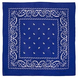 Royal Blue Paisley Bandana - Single Piece 22x22