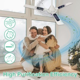 Ceiling Fan Filter for Blades Hoctsom Carbon Air Purifier Pads, Activated Charcoal Freshener Cleaner for Home Bedroom for Pets, Easy Install and Long-Lasting, Unscented Support Filter Strips (1)