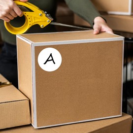 YIKIADA White Dot Stickers 4 Inches Round Sticker, Circle Colored Labels Color Coding Labels for Office Classroom Toddlers Activity 40 Pieces