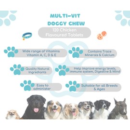 Forever & Always dog vitamins and supplements | 120 x Chicken flavour dog multivitamin Supplements | Contains wide range of Minerals & Vitamins including A, C & E | Made in UK & 100% Human Grade