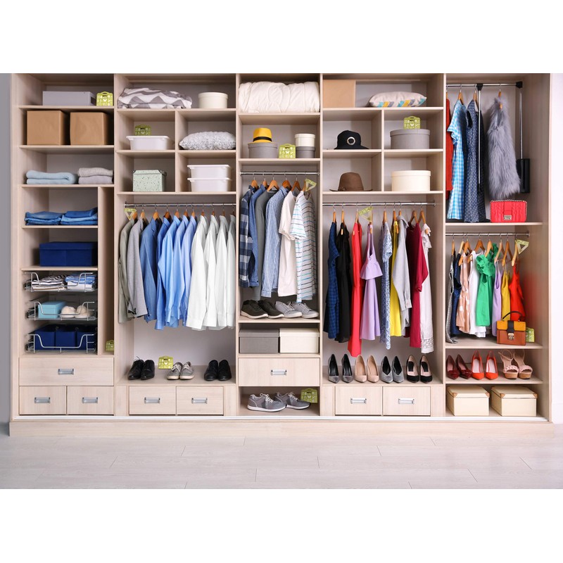 Triple Strength Clothes Moth Traps – Safe, Non-Toxic Closet Moth