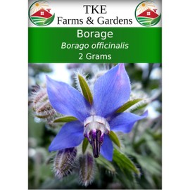 TKE Farms & Gardens - Borage Seeds for Planting, 2 Grams, 100 Heirloom Seeds, Non-GMO, Packet Includes Instructions for Growing, Borago officinalis
