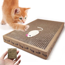 BPS® Scraper Cats Card Scraper Cats Toys Accessory Ideal for Afile Nails (24X39) BPS-1853