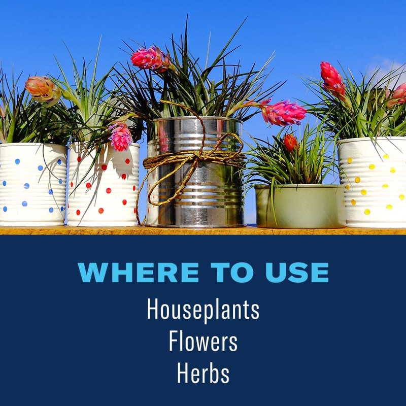 BioAdvanced Houseplant Insect & Mite Control, Ready-to-Use Fungul Disease &