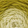 Lion Brand Yarn Mandala Gradient, Multicolor Yarn for Knitting, Crochet