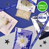Exclusive Bath Project Bath Tea Salt 50g, 4 types, choose 1 4070203 / 단독 배쓰프로젝트 배쓰 티 솔트 50g 4종 택1 4070203