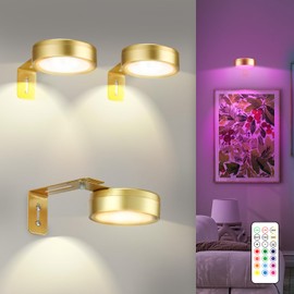 Maooght 3 Pack Gold Picture Lights for Wall Battery Operated, 12 RGB Color Changing LED Wall Art Light, Magnetic Painting Light with Remote Control,Art Gallery Lights Photo Sconce for Art Display