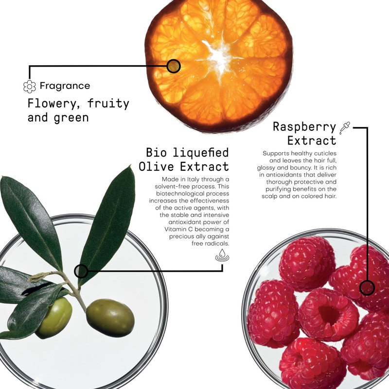 Framesi Morphosis Hair Treatment Line Colour Protect Shampoo 250 ml