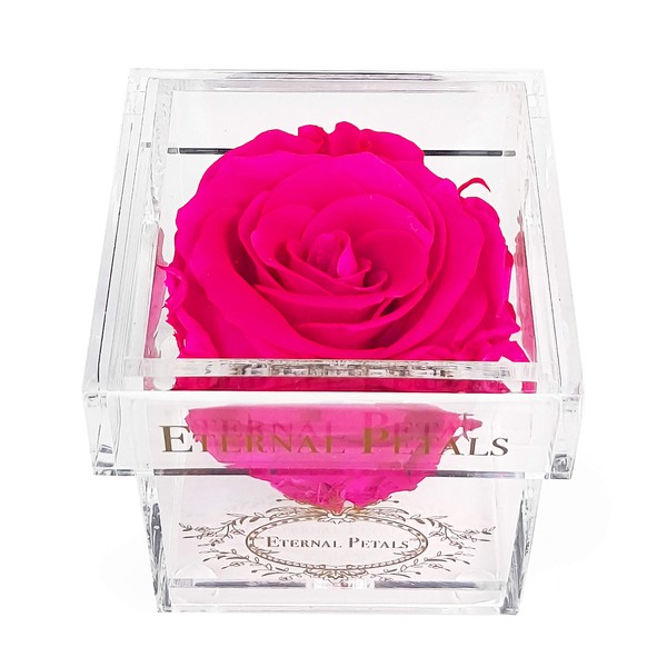Eternal Petals A 100% Real Rose That Lasts A Year - The Perfect Unique Gift for Women and Men, an, A Birthday Gift - Gold Solo (Hot Pink)