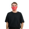 Basic Sense CHRISTMAS Copper Ion Infused Washable Reusable Face Coverings