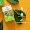 ORGANIC INDIA Tulsi Moringa Tea Bags- Holy Basil, Lemongrass, Moringa