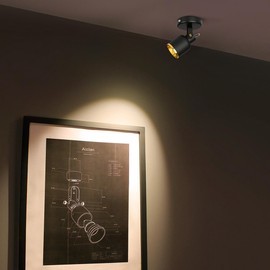 Aisilan COB Black LED Ceiling Spotlight Adjustable 90° Nordic Indoor Spot Light Warm White 9W for Foyer Hallway Cabinet Showcase Gallery