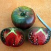 Seeds of Tomorrow 75 Black From Tula Tomato Seeds- With