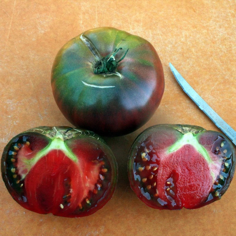 Seeds of Tomorrow 75 Black From Tula Tomato Seeds- With