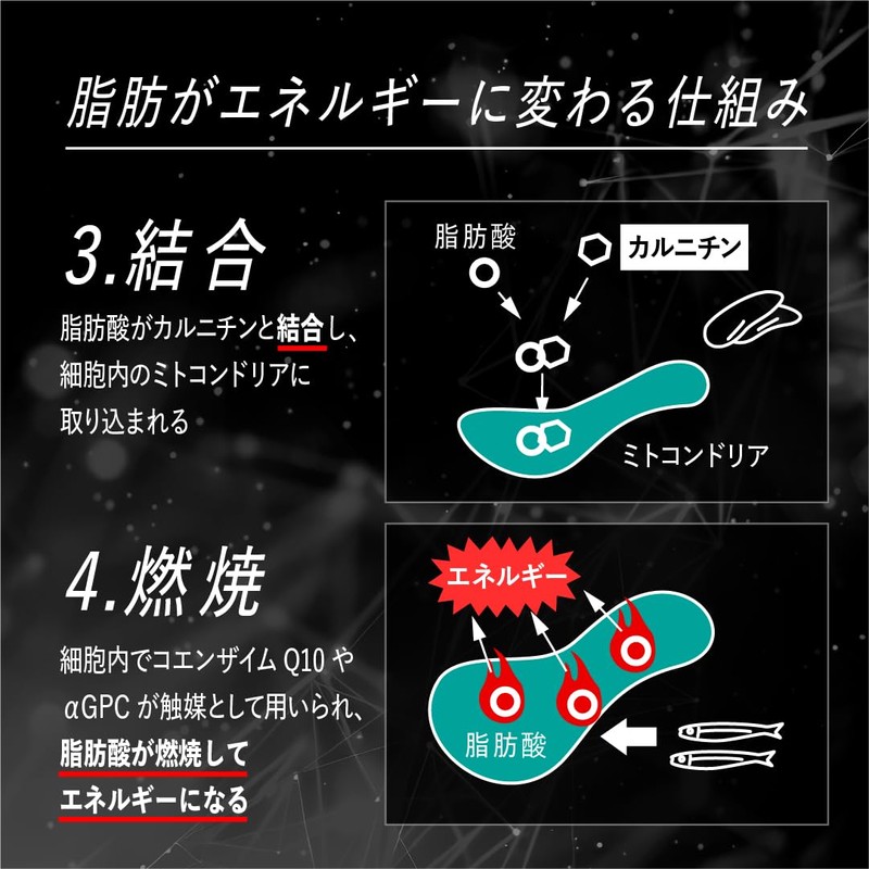 バルクス RED GEAR レッドギア 個包装 BOX 3粒 30包【運動中に】 ダイエットサポート L-カルニチン