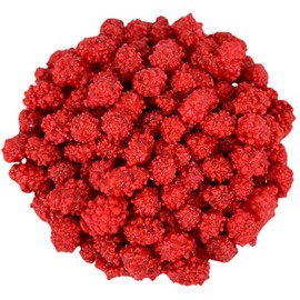 Cozy Confections Old Fashioned French Roasted Peanuts, 1 Pound