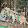 Cat Harness for Walking, Escape Proof Cat Harness and Leash