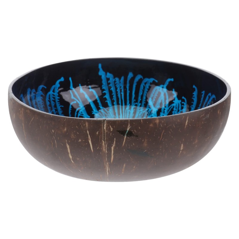 HEMOTON Coconut Bowls Decorative Bowl Natural Coconut Shell Bowl Decorative